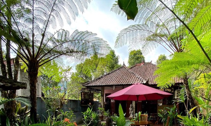 Munduk House | Homestay Sente
