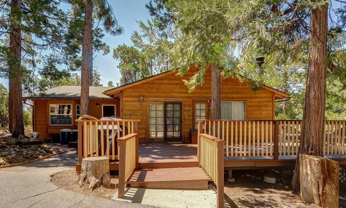 Pine Cove Cabin | Homey, dog-friendly cabin w/ large deck surrounded by forests
