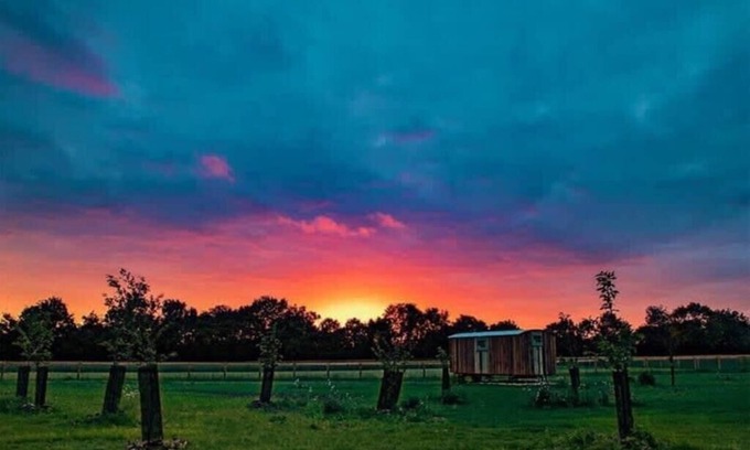 Monk Soham Cabin | Honeysuckle Farm Hut 3 - Suffolk Farm Holidays