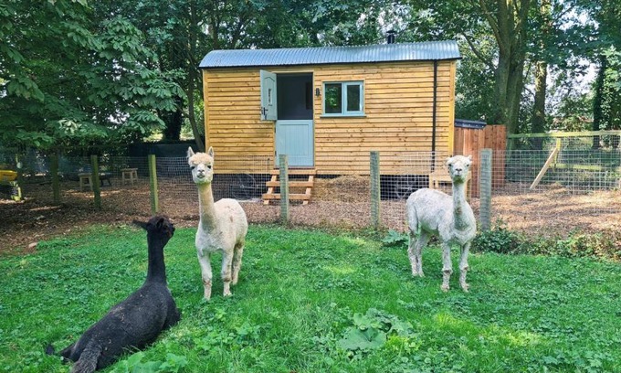 Littleport Other | Horsley Hale Farm Glamping