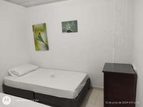 Armenia Apartment | Hospedaje en Armenia, Quindío