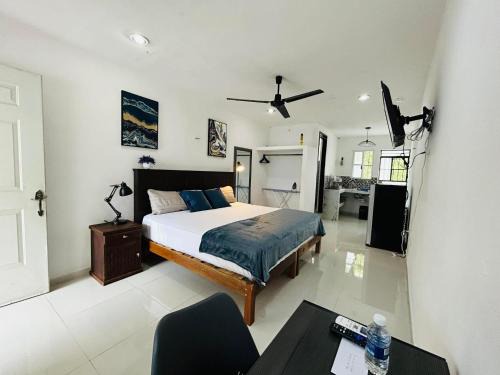 Campeche Apartment | Hospedaje San Jose