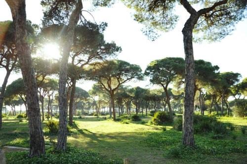 Chipiona House | Hostal Quinto Pino