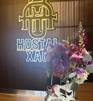 Centro House | HOSTAL XAO