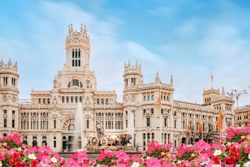 San Diego Hostel | Hostel Almansa