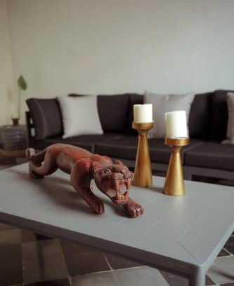 Zona Centro Hotel | Hotel Boutique Casa Jade