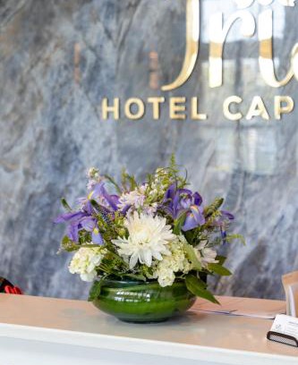 Teaticket Hotel | Hotel Cape Cod