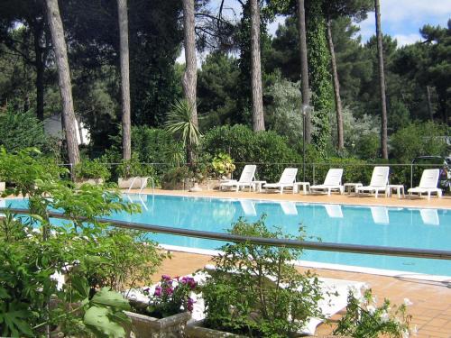 Lido di Spina Hotel | Hotel Europa Park