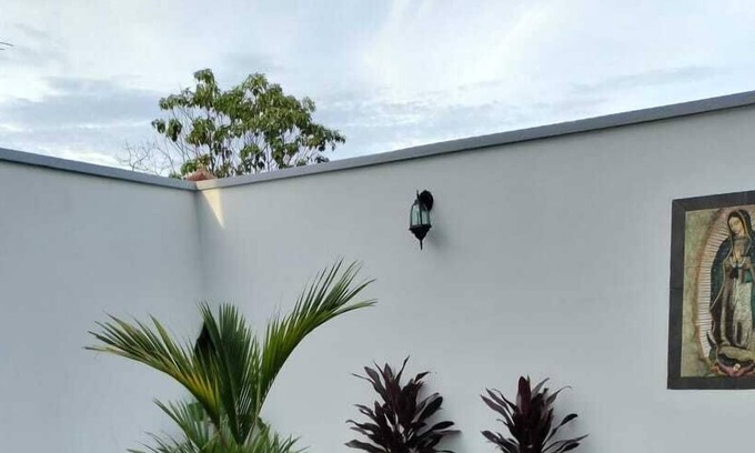 Acacias Hotel | Hotel Guadalupe Acacías