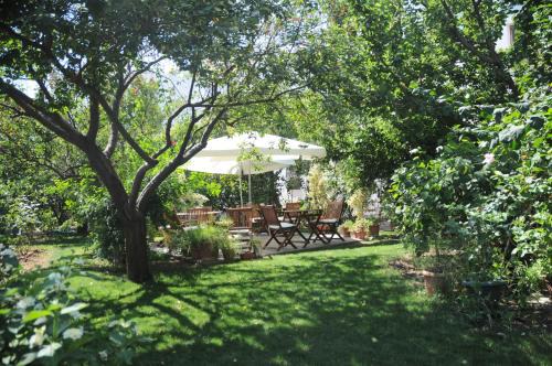 Bodrum City Center Hotel | Hotel Gulec