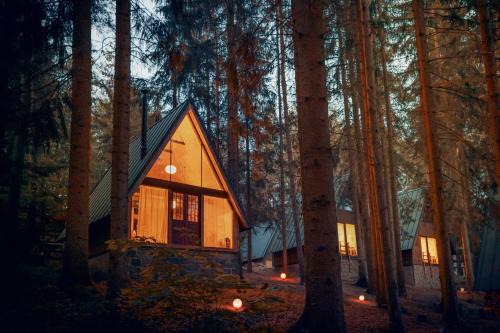 Dolni Mesto Apartment | Hotel Kouty - Lesní Apartmány