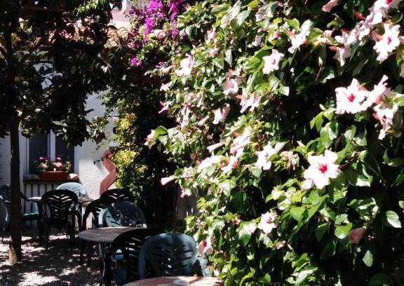 Canet de Mar Hotel | Hotel Mitus