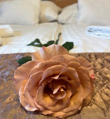 Rozsadomb Hotel | Hotel Rose City