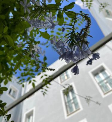Mahon Hotel | Hotel San Miguel Menorca