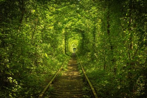 Klevan Hotel | Hotel Tunnel of Love