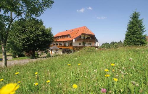 Bad Peterstal-Griesbach Hotel | Hotel zum Breitenberg