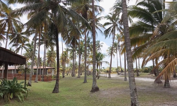 Olivenca House | house by the sea with excellent structure for family leisure