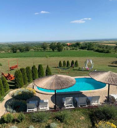 Vrdnik Villa | House "Dare to dream"