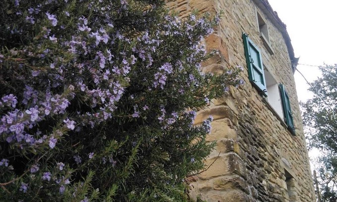 Castel del Rio Other | House made of stone and chestnut wood, at the foot of the chestnut grove