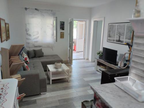 South Backa District House | House&mini-Camp SKELICA