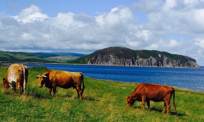 Campbeltown Other | House on the hill above the sea