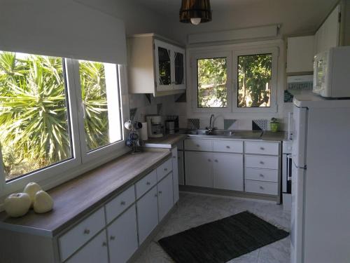 Samos House | House with fruit trees, olive trees, and sea view.