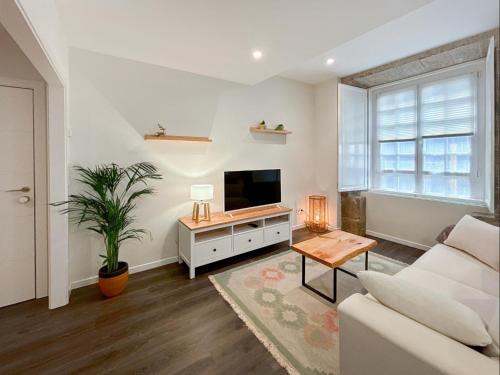La Coruna Old Town Apartment | housingcoruña parrote