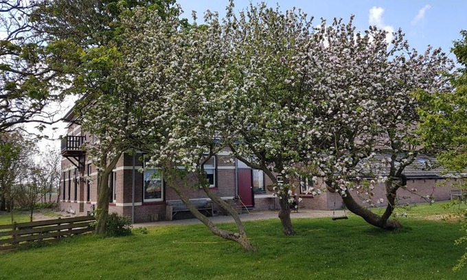 De Cocksdorp Bed & Breakfast | Hunsingo Texel