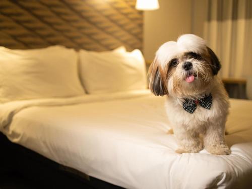 Juazeiro do Norte Hotel | ibis Juazeiro do Norte