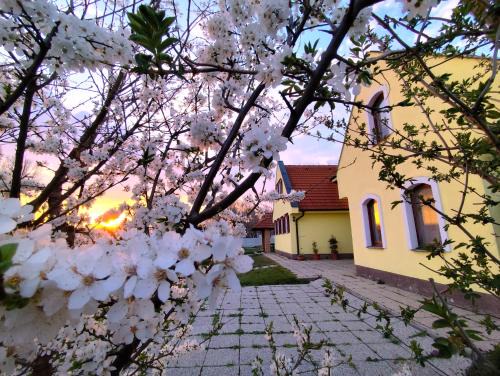 Kyselica House | Idylický rodinný penzión Arkádia pri Dunajskej cyklotrase