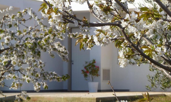 Turi Bed & Breakfast | Il Giardino dei Ciliegi - Turi