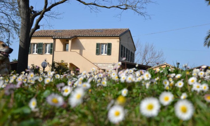 Ancona House | Il Mandorlo - Agriturismo e Azienda Agricola Ferrato