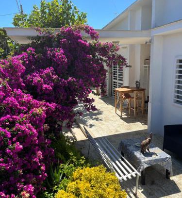 Municipio 5 House | Il Platano di Nathaly