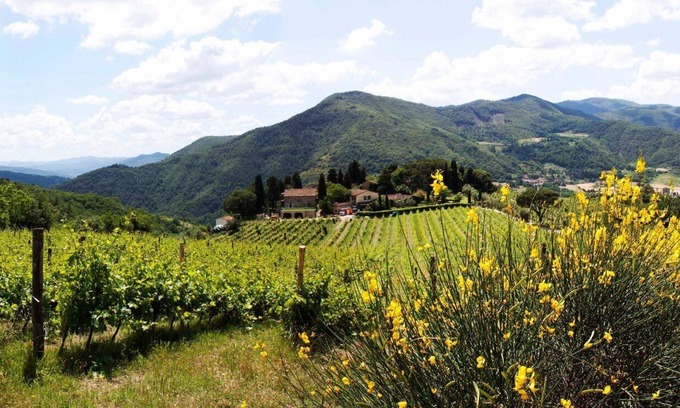 Dicomano House | Il Tiglio - Azienda Agricola Frascole
