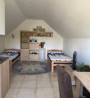 Vrdnik Apartment | Ilkićev kućerak Studio