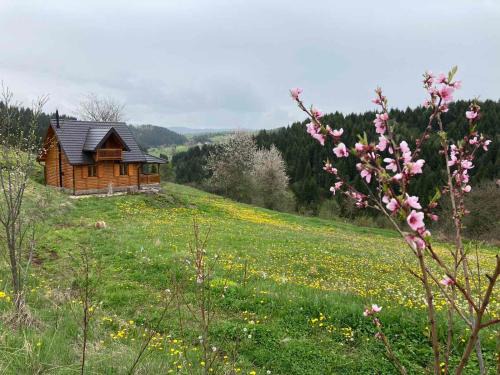 Zlatibor House | Imanje Mir