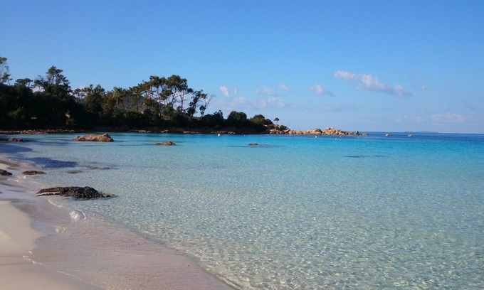 Verghia House | In the middle of the maquis, calm and joie de vivre are the order of the day!