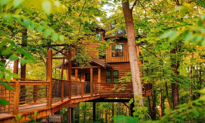 Millersburg Cabin | Incredible Treehouse with Breathtaking Views - Sleeps up to 6