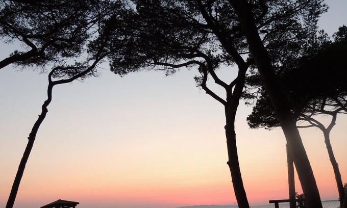 Scarlino Villa | Independent apartment in a farmhouse