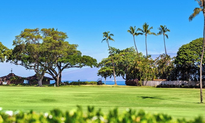 Kaanapali Condo | Intro Price: Newly Remodeled Ocean View "J" Studio, sleeps 4