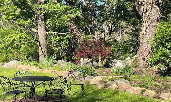 Bluemont Cottage | It's Own Destination / Farm Cottage with Mountain Views & Pond