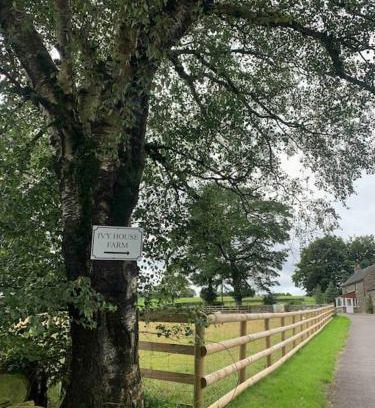 Longnor House | Ivy House