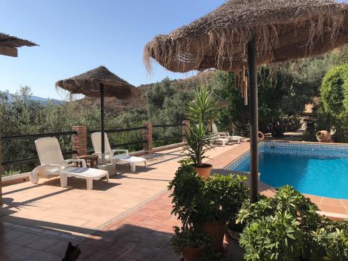 Pinos del Valle Apartment | Jardin Andaluz Appart Alhambra