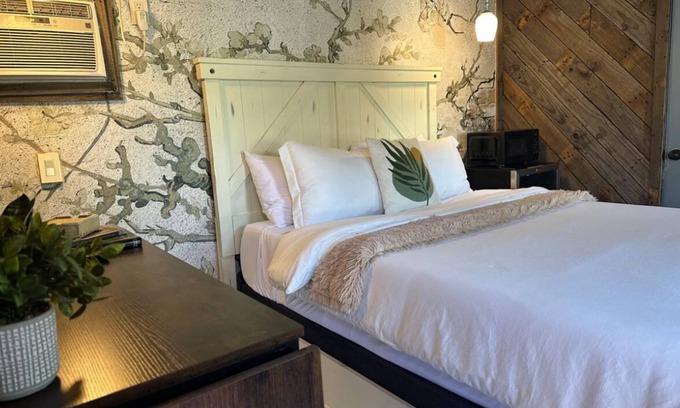 Greater East End Apartment | Jaw dropping, inner-loop bungalow with tiny home. A city retreat!
