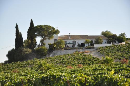 Jerez de la Frontera House | Jerez Viña Santa Petronila