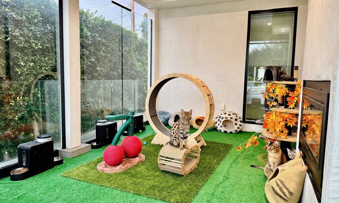 Mount Wilson House | Jie's Choice - Enchanted Garden Hideout