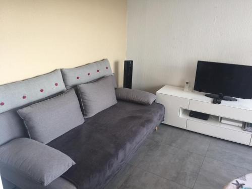 Le Grau-Du-Roi Apartment | Joli petit appartement rénové au centre du Boucanet
