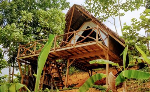 San Vicente Hotel | Jungle bar Resto & Cottages
