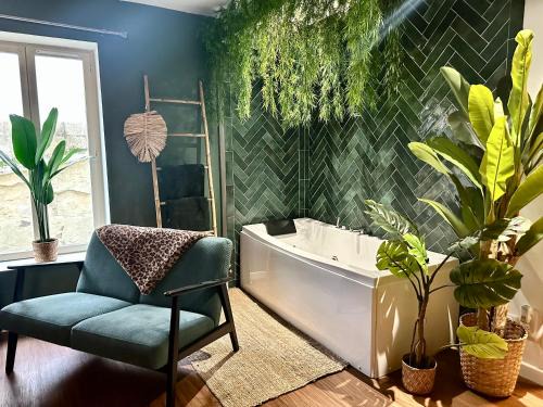 Boulogne-Centre Hotel | Jungle Fever , évasion nature et balnéo