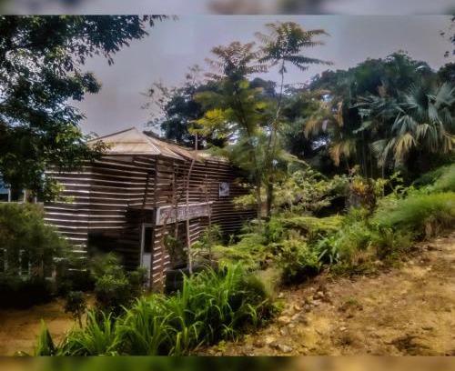 Medadumbara Bed & Breakfast | Jungle Tree House Rangala